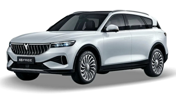 Двухслойные коврики EVA для Voyah Free (2021->)