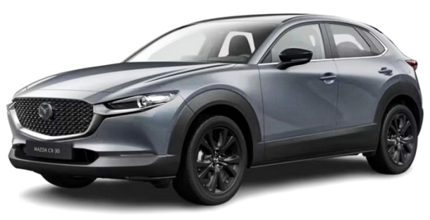 Автомобильные коврики EVA для Mazda CX-30 (2019->)