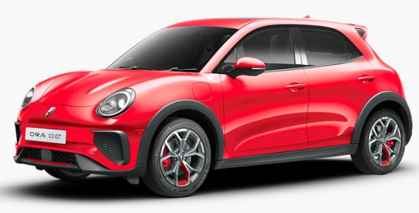 Двухслойные коврики EVA для Ora 03 (2023->)